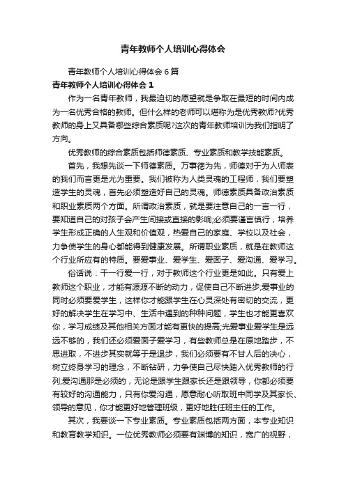 青年教师个人培训心得体会