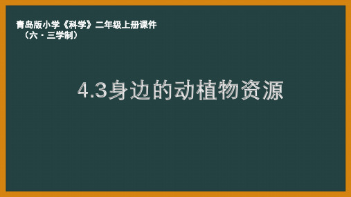 六三制青岛版二年级科学上册14《身边的动植物资源》教学课件