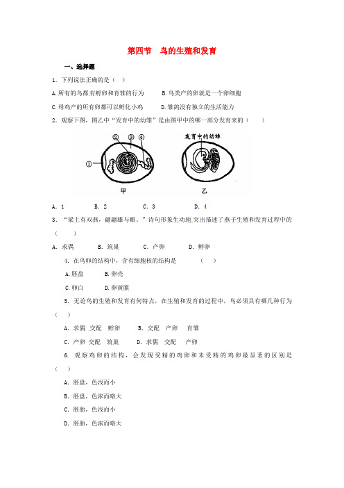 济南版生物-八年级上册-4.2.3 鸟的生殖和发育课时习题