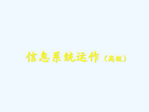 CIO企业信息管理师信息系统运作(高级)