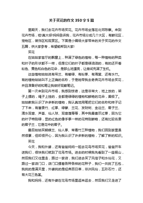 关于买花的作文350字5篇