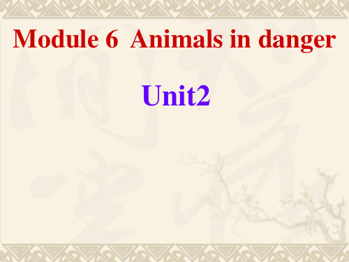 module 6 Animals in danger Unit2 初中英语课件