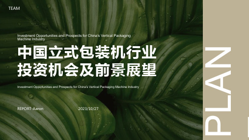 2023-2025年中国立式包装机行业市场发展现状及投资前景预测报告报告模板