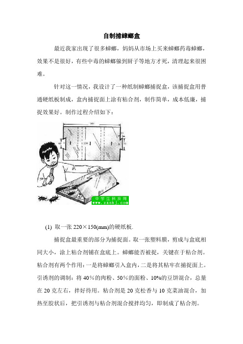 小发明-自制捕蟑螂盒(收藏备用)