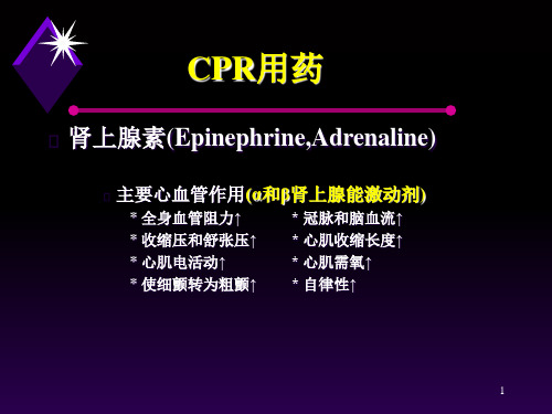 肾上腺素EpinephPPT课件