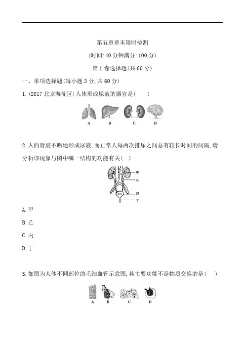 2018—2019学年下七年级生物第五章人体内废物的排出单元测试
