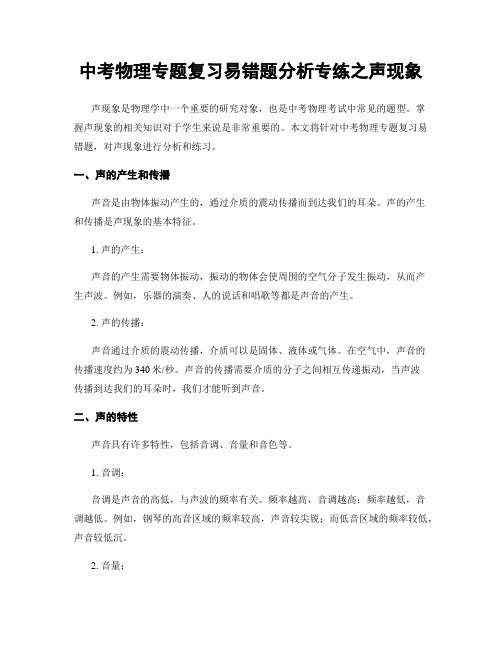 中考物理专题复习易错题分析专练之声现象