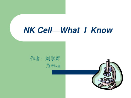 以诱导细胞凋亡NK细胞