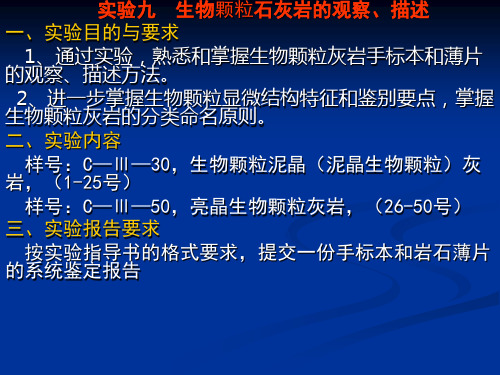 实验十、生物颗粒灰岩 沉积岩石学实验