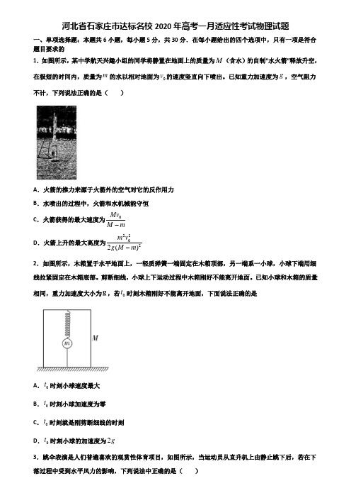 河北省石家庄市达标名校2020年高考一月适应性考试物理试题含解析