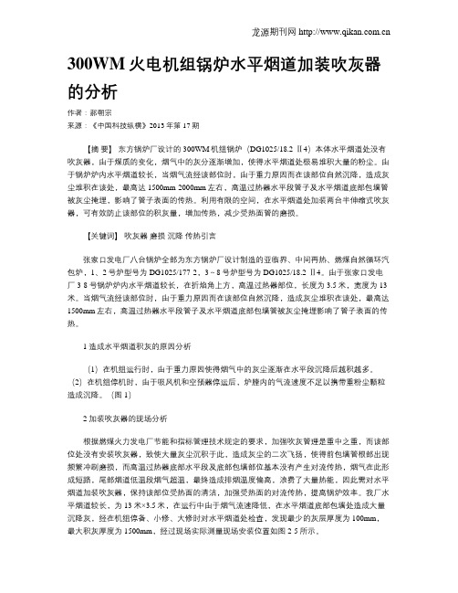 300WM火电机组锅炉水平烟道加装吹灰器的分析