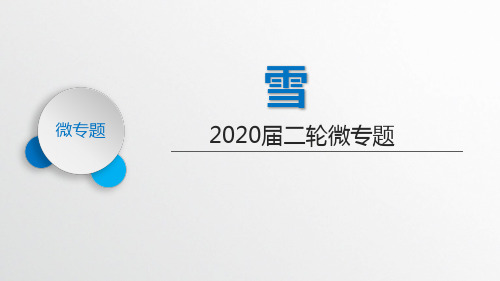 2020届二轮复习 微专题雪