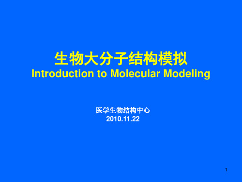 生物大分子结构模拟实验PPT课件