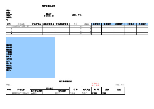 【财务管理】货币资金情况表(模板)