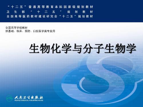 生物化学PPT一、蛋白质课件