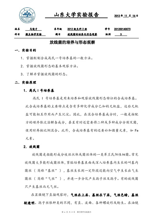 放线菌的培养与形态观察实验报告(山东大学)