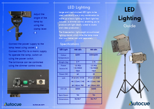 LED光源指南：LED光线1000LED和500LED说明书