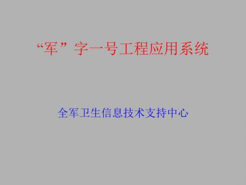 “军”字一号工程应用系统-精选文档