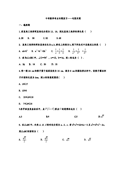 中考复习 数学考点专题——勾股定理