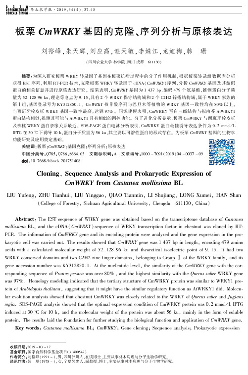 板栗CmWRKY基因的克隆、序列分析与原核表达