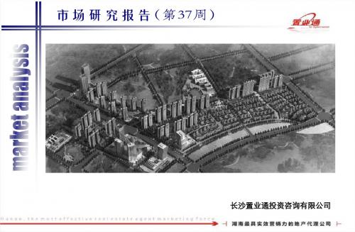 周报终稿-周报37周