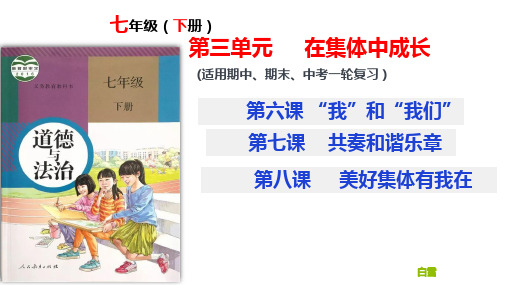 第三单元在集体中成长复习课件部编版道德与法治七年级下册