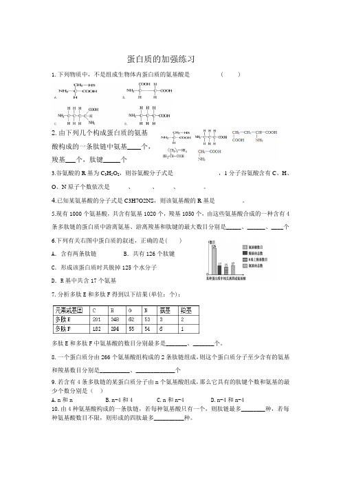 高中生物必修一第二章 蛋白质的加强练习