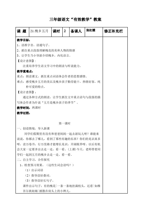 21课.槐乡五月.doc(公开课教案)