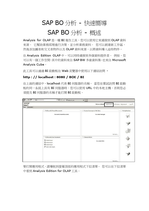 SAP BO分析 - 快速向导