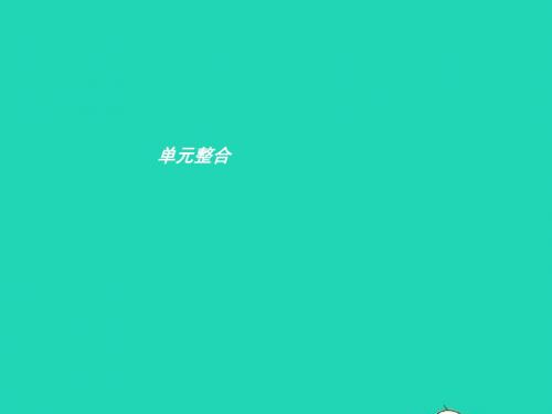 九年级政治全册 第四单元 情系中华 放眼未来整合习题课件 粤教版