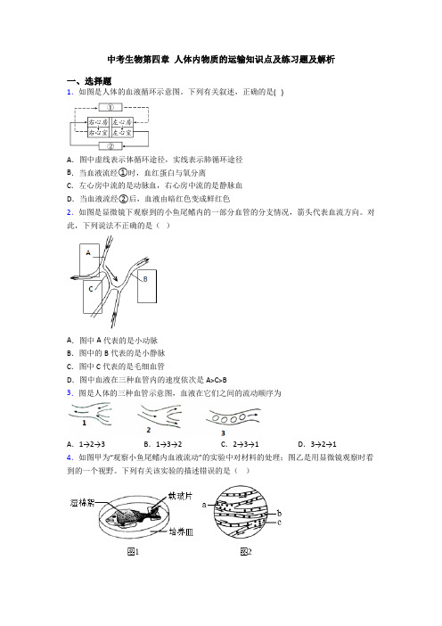 中考生物第四章 人体内物质的运输知识点及练习题及解析