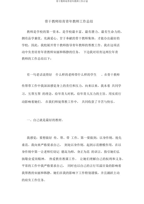 骨干教师培养青年教师工作计划