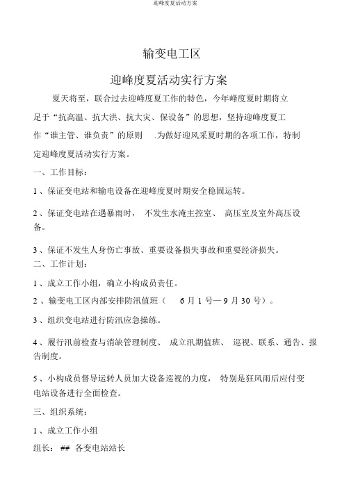 迎峰度夏活动方案