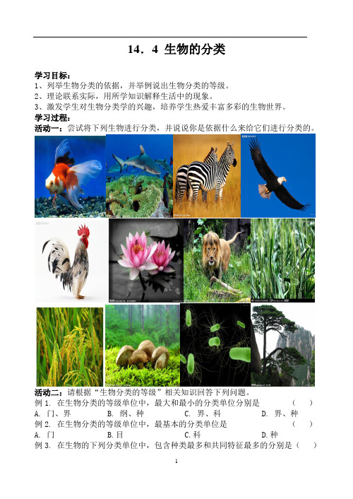 第四节生物的分类导学案苏教版生物八年级上册