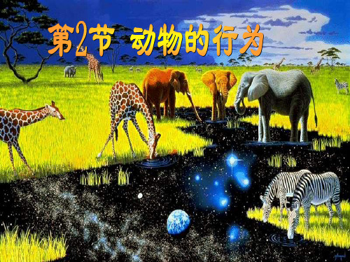 苏科版初中生物八上第六单元17.2《动物的行为》课件(共41张PPT)