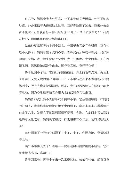 我与什么的亲密接触作文600字(1)精选