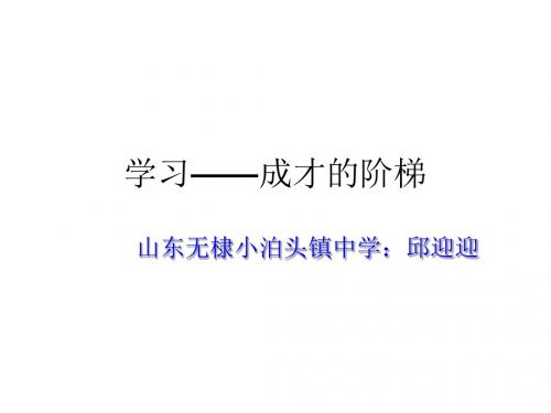 七年级政治成才的阶梯(教学课件201908)