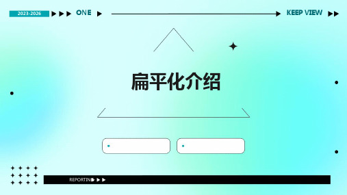 《扁平化介绍》课件