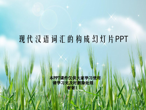 现代汉语词汇的构成幻灯片PPT