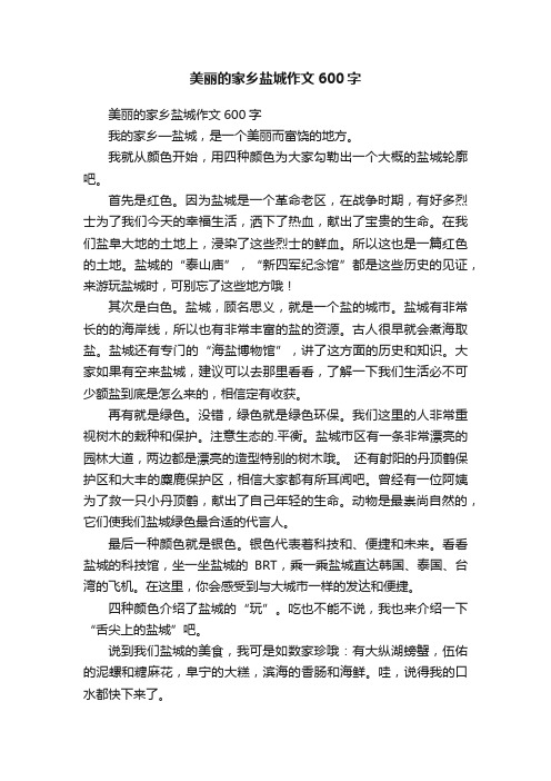 美丽的家乡盐城作文600字