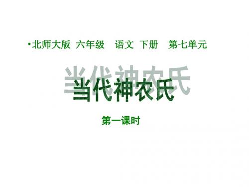 六年级语文当代神农氏课件2(新编201908)