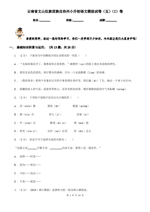 云南省文山壮族苗族自治州小升初语文模拟试卷(五)(I)卷