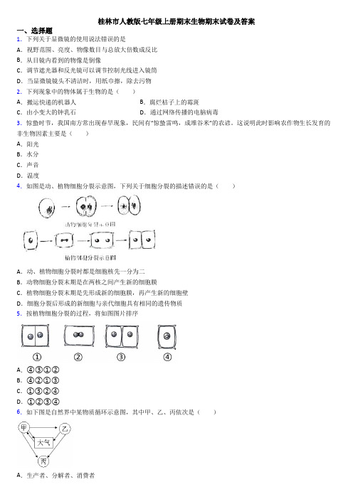 桂林市人教版七年级上册期末生物期末试卷及答案