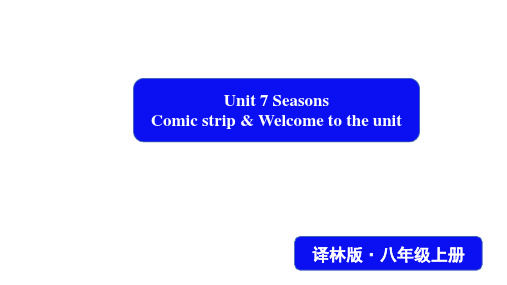 Unit7Seasons Comic strip and Welcome to the unit课件