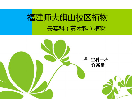 福建师范大学旗山校区植物(云实科)ppt.