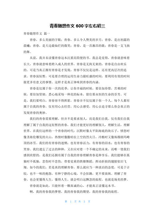 青春随想作文600字左右初三