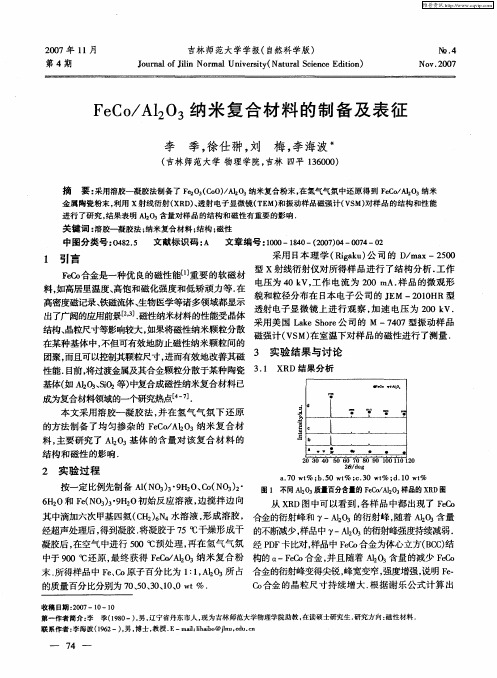 FeCo／Al2O3纳米复合材料的制备及表征