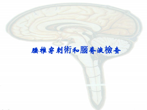 腰椎穿刺和脑脊液检查课件