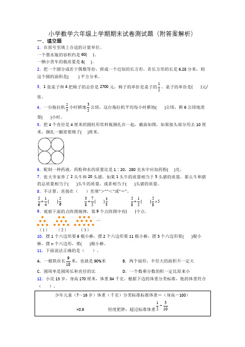 小学数学六年级上学期期末试卷测试题(附答案解析)