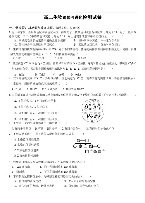 高二生物遗传与进化检测试卷